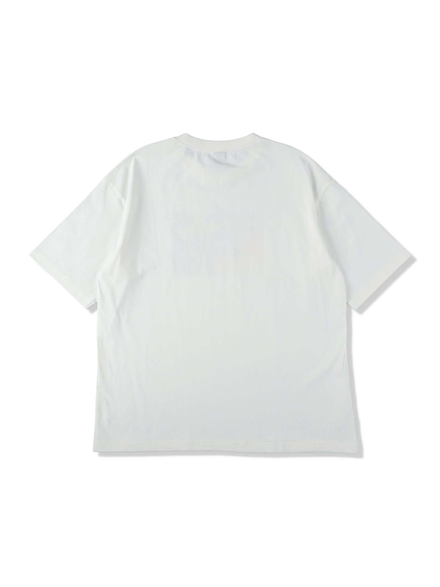 DrySilkyCotton® Tシャツ  【Sunset palm】